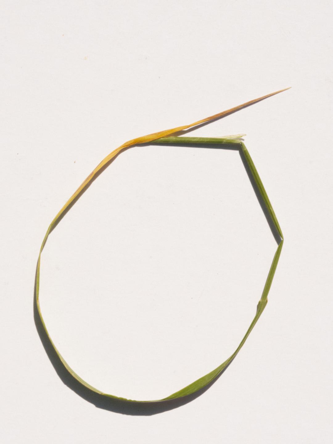 Grass Bracelet