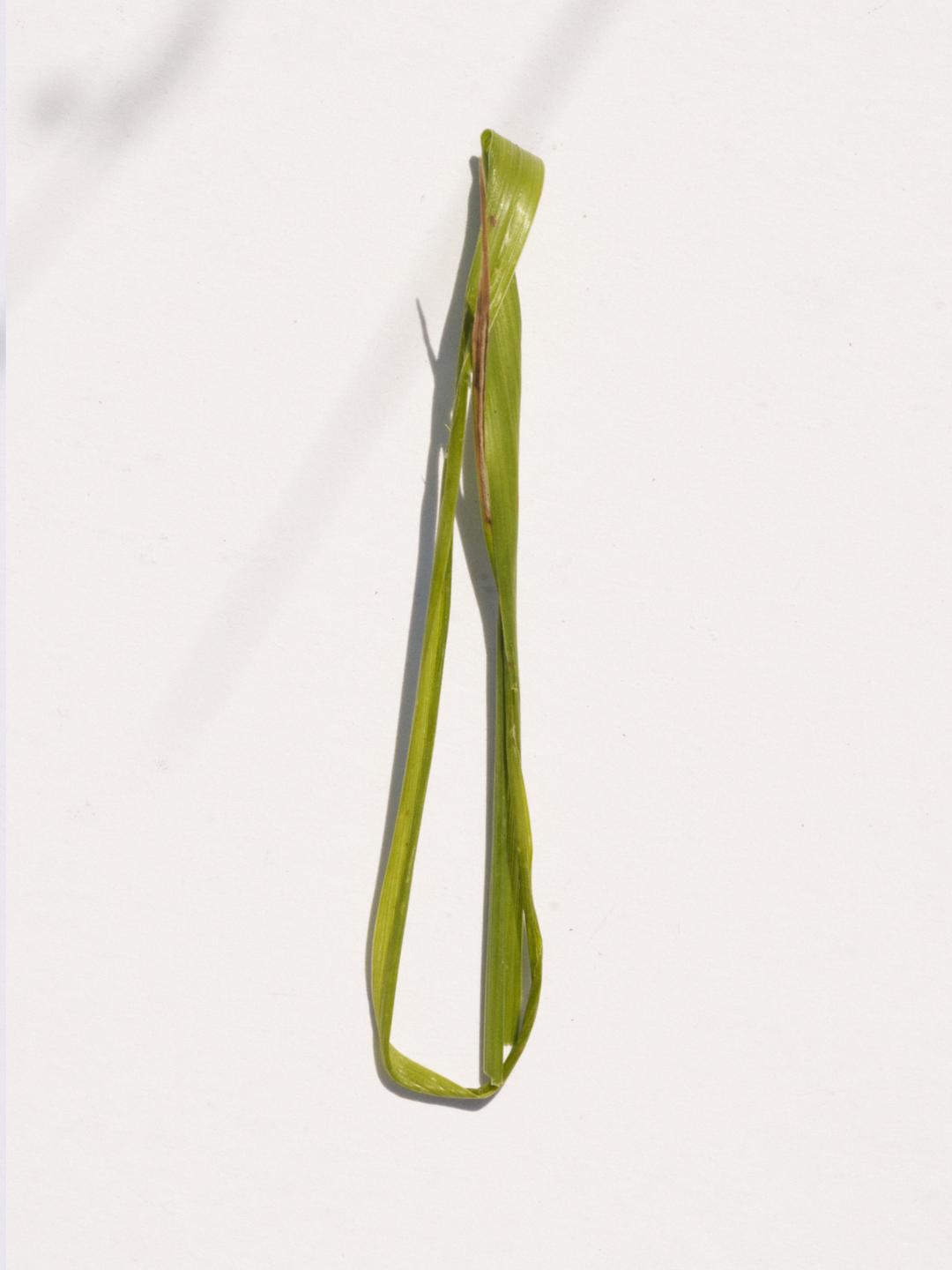 Grass Pin