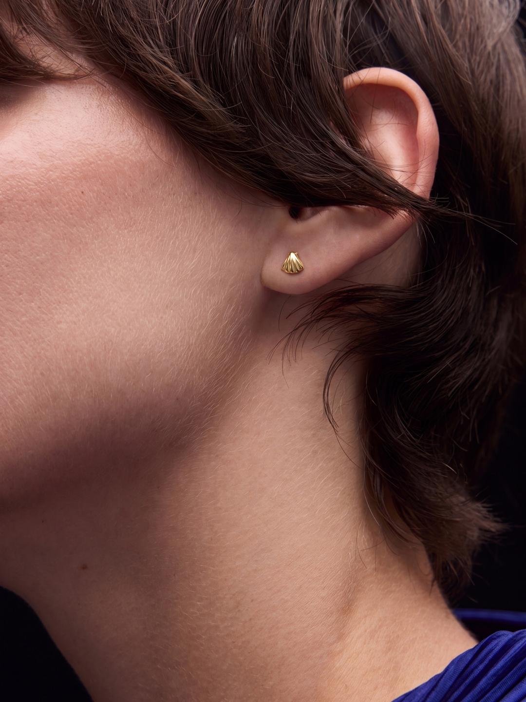 Teeny Shell Stud in Yellow Gold