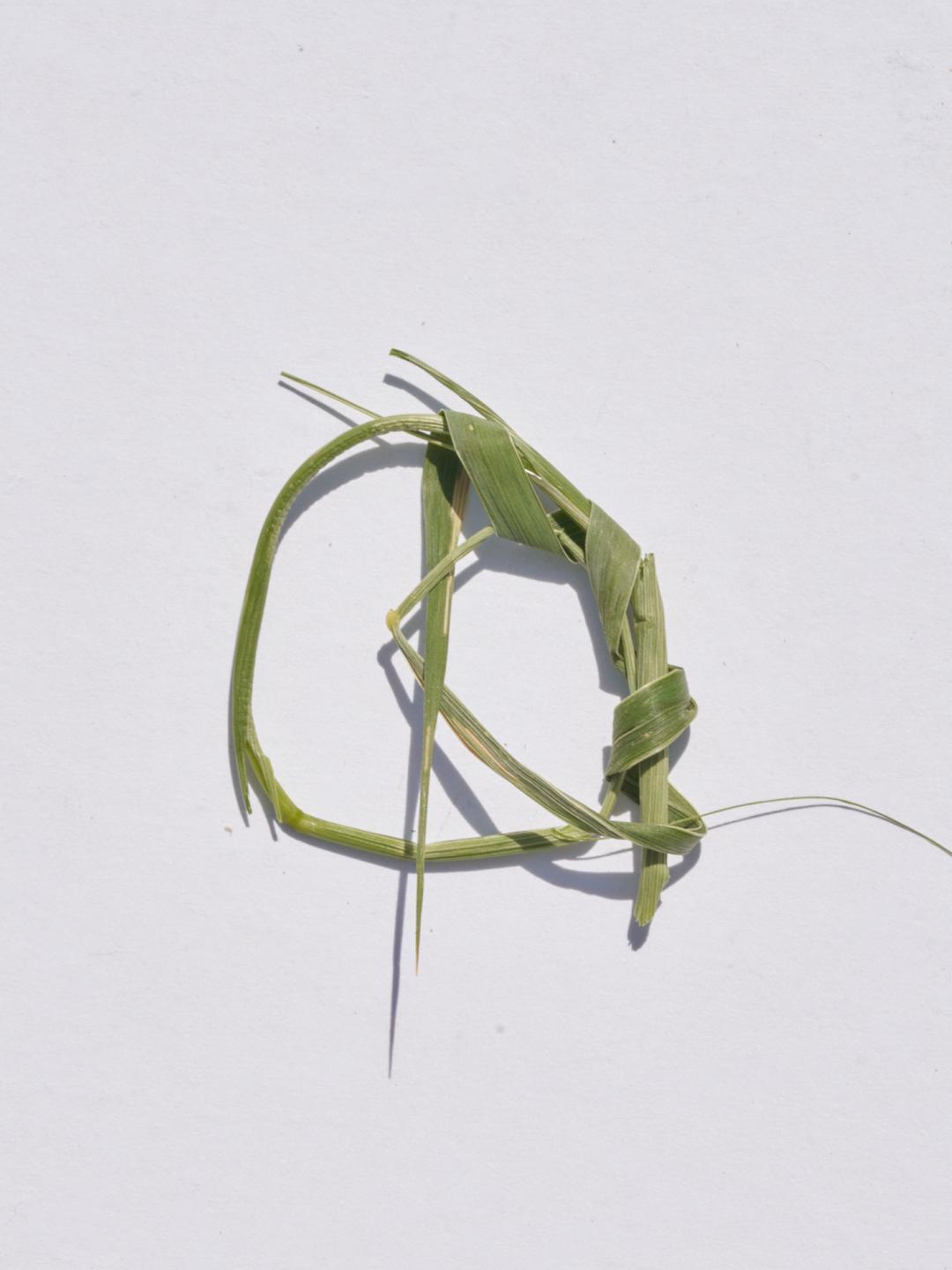 Bicolour Grass Earrings