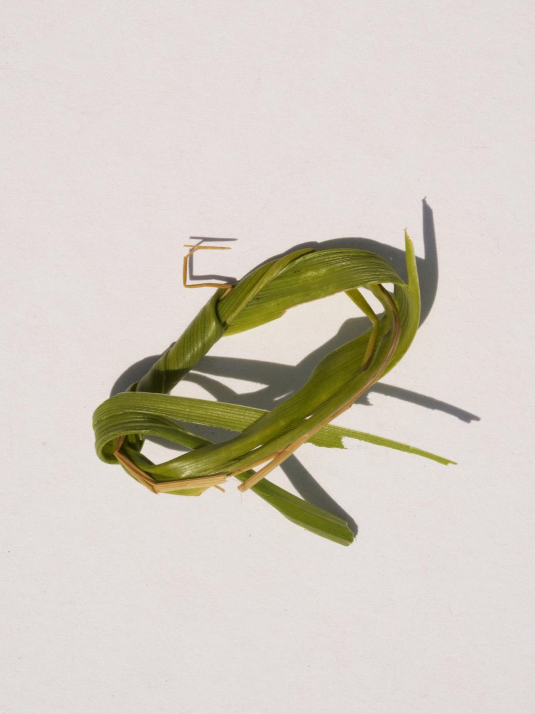 Grass Signet Ring