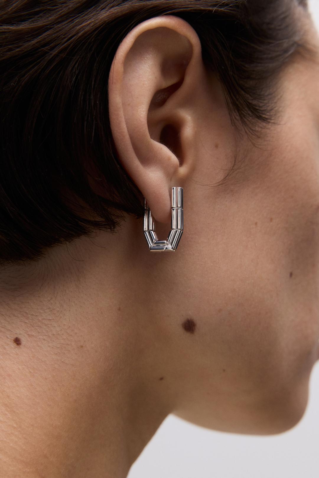 Truss Earrings