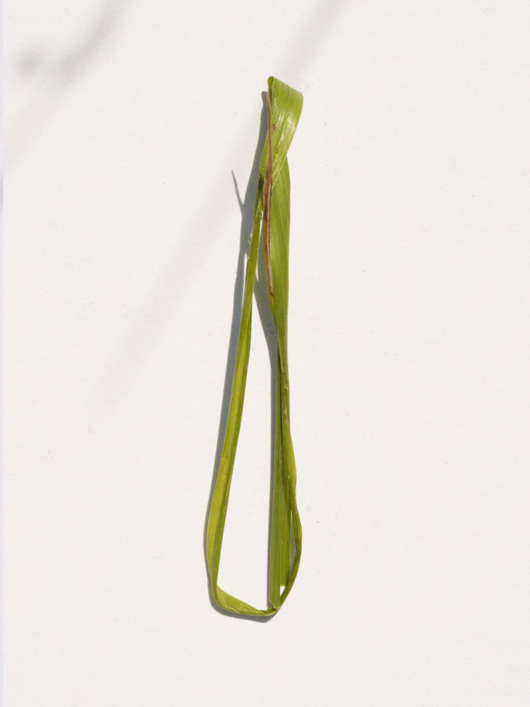 Grass Pin Gold Vermeil
