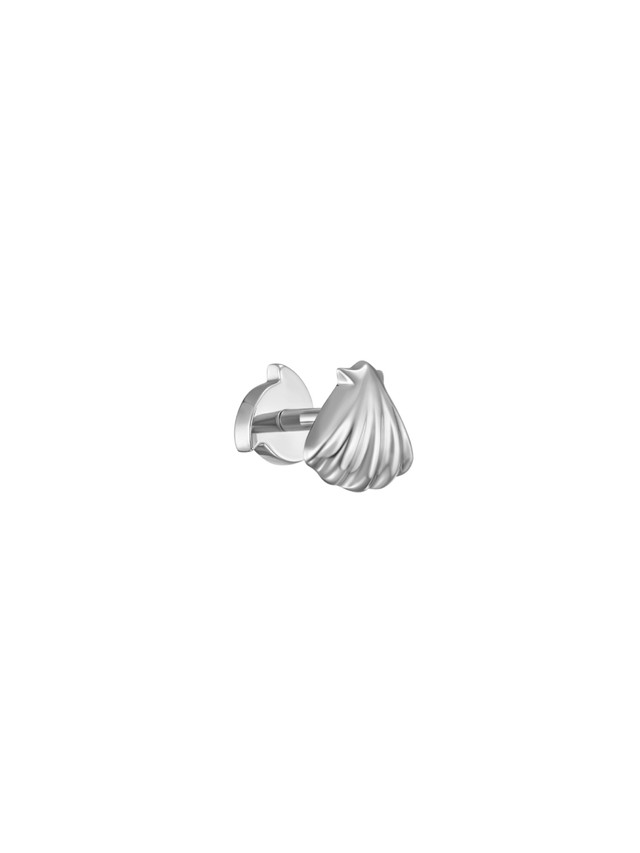 Teeny Shell Stud in White Gold